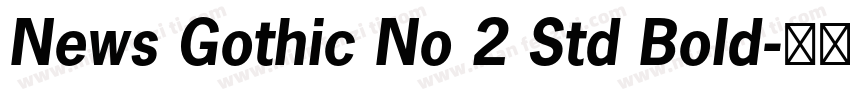 News Gothic No 2 Std Bold字体转换